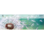 Все отзывы о Отзывы о франшизе https://www.labquest.ru Медицинская лаборатория LabQuest на stena-otzyvov.ru