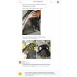 Все отзывы о Осторожно мошенники!! http://vk.com/melady_shop на stena-otzyvov.ru