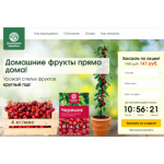 Все отзывы о Отрицательный отзыв derevo.tixs.ru на stena-otzyvov.ru