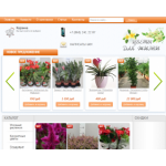 Все отзывы о Отзыв о flowers-for-life.ru на stena-otzyvov.ru