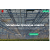 Отзывы об интернет-магазине https://tulpan-king.ru