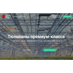 Все отзывы о Отзывы об интернет-магазине https://tulpan-king.ru на stena-otzyvov.ru