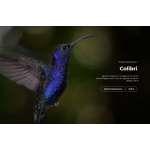 Все отзывы о Осторожно мошенники!! colibri-biz.com на stena-otzyvov.ru