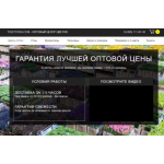 Все отзывы о Осторожно мошенники!! Цветторг Tsvettorg.com - мошенники! на stena-otzyvov.ru