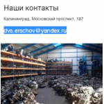 Все отзывы о Осторожно мошенники!! dvs-m.ru на stena-otzyvov.ru