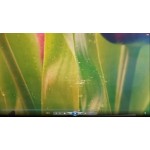 Все отзывы о Отзывы о компании Фабрика Требити БРАК БРАК БРАК!!! на stena-otzyvov.ru