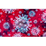 Все отзывы о Отзыв о КОРОНОВИРУС на stena-otzyvov.ru