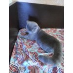 Все отзывы о Отзывы о сайте krovati-deshevo.ru на stena-otzyvov.ru