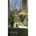 Все отзывы о Положительный отзыв okna-tseny.ru на stena-otzyvov.ru