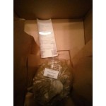 Все отзывы о Осторожно мошенники!! http://blizzq.ru/l1/allterrain/r1/?lnk=5944&s=lOeHVRk Купить ТАКТИЧЕСКИЕ БРЮКИ. на stena-otzyvov.ru