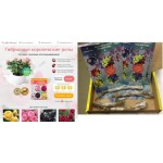 Все отзывы о Осторожно мошенники!! lampoombyq.ru на stena-otzyvov.ru