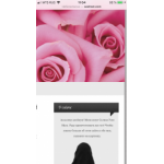 Все отзывы о Отрицательный отзыв Sestram.com на stena-otzyvov.ru