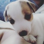 Все отзывы о Отзыв о Ип Соня)) на stena-otzyvov.ru