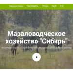 Все отзывы о Отзывы о сайте sibir-maral.ru на stena-otzyvov.ru