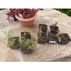 Отзывы об интернет-магазине Интернет-магазин Garden Plants shop-gardenplants.ru