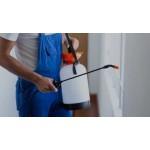 Все отзывы о Положительный отзыв Центральная Санитарная Служба Санкт-Петербурга на stena-otzyvov.ru