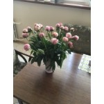 Все отзывы о Отрицательный отзыв Моспион (https://mospion.ru/) на stena-otzyvov.ru