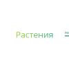 Отзывы о компании Растения24