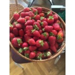 Все отзывы о Отзывы об интернет-магазине 7organic на stena-otzyvov.ru